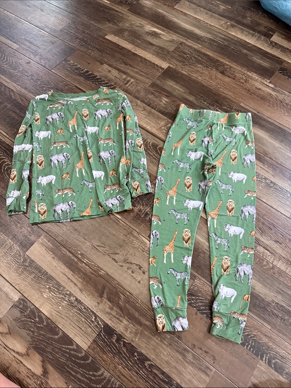Kids Green Safari Animal Pajama Set